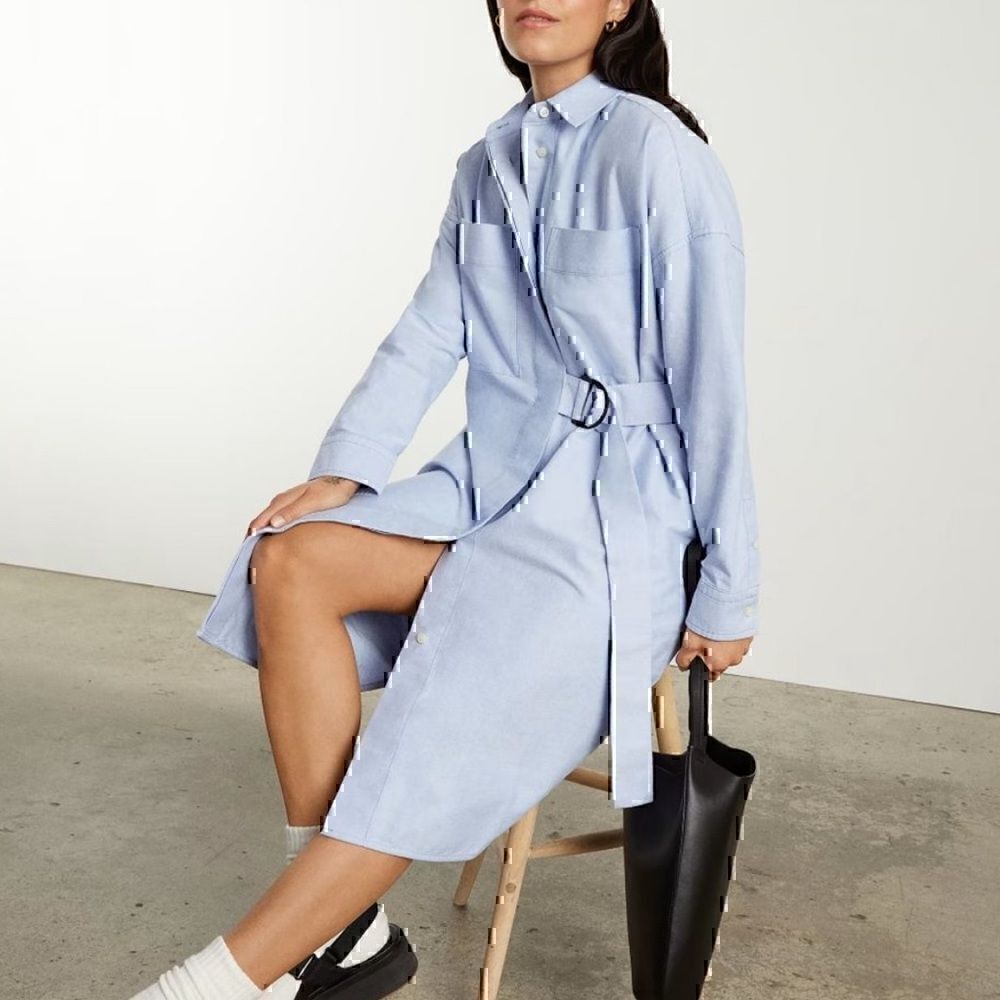 NWT Everlane‎ Oxford Shirt Dress Light Blue XS Sustainable